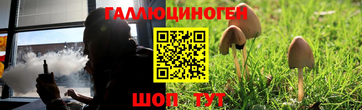 Псилоцибиновые грибы мицелий  Вход с VPN  Шебекино 