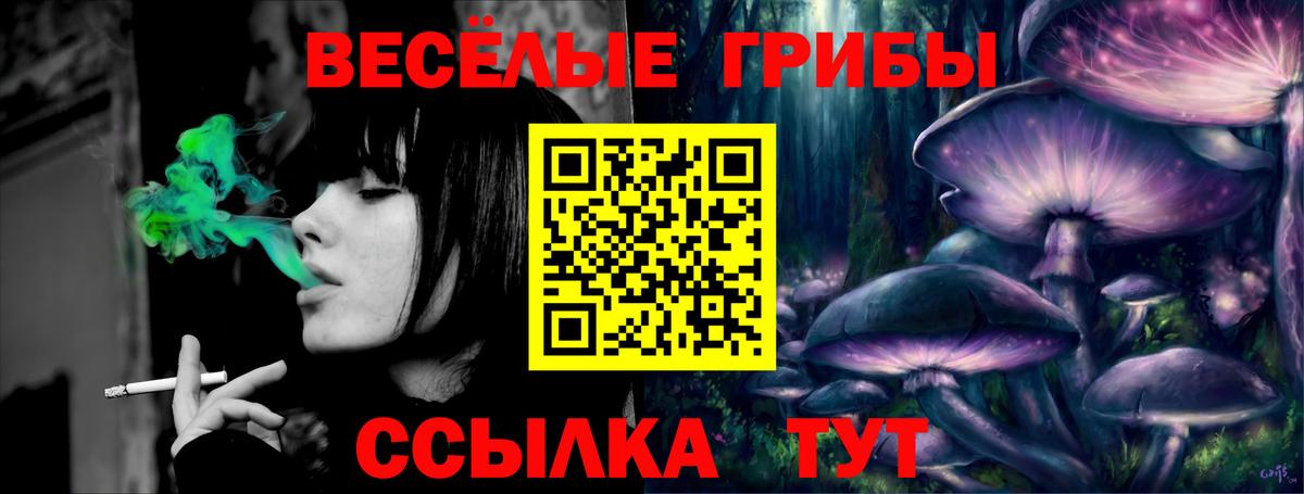 Галлюциногенные грибы мицелий Шебекино